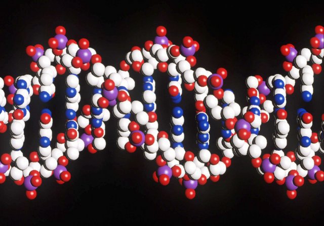 Cientistas acham 15 novas mutações que aumentam risco de ter câncer de mama